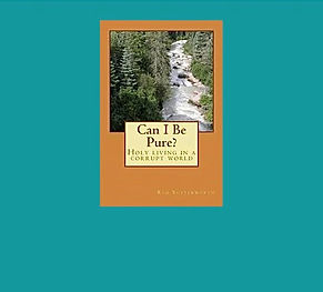 Can I Be Pure Book Image 2.jpg