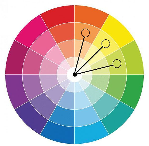 Understand The Color Wheel & Color Schemes To Become A Better Decorator_edited.jpg