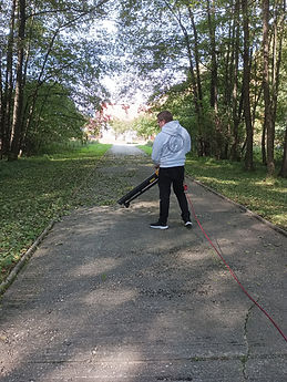 Odfúkanie lístia