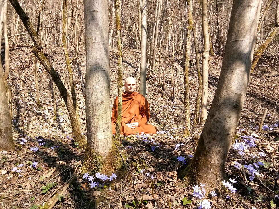 Spring meditation retreat