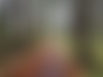 Why We Love Prince George