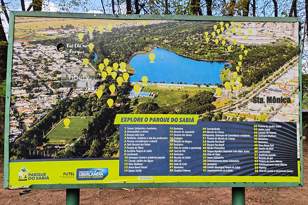 Tai Chi no Parque 2025