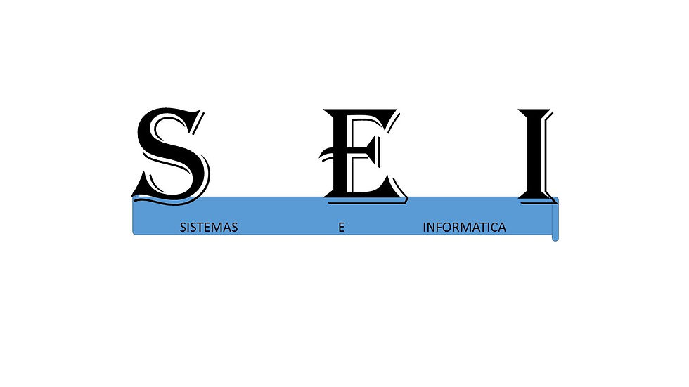 S   E   I