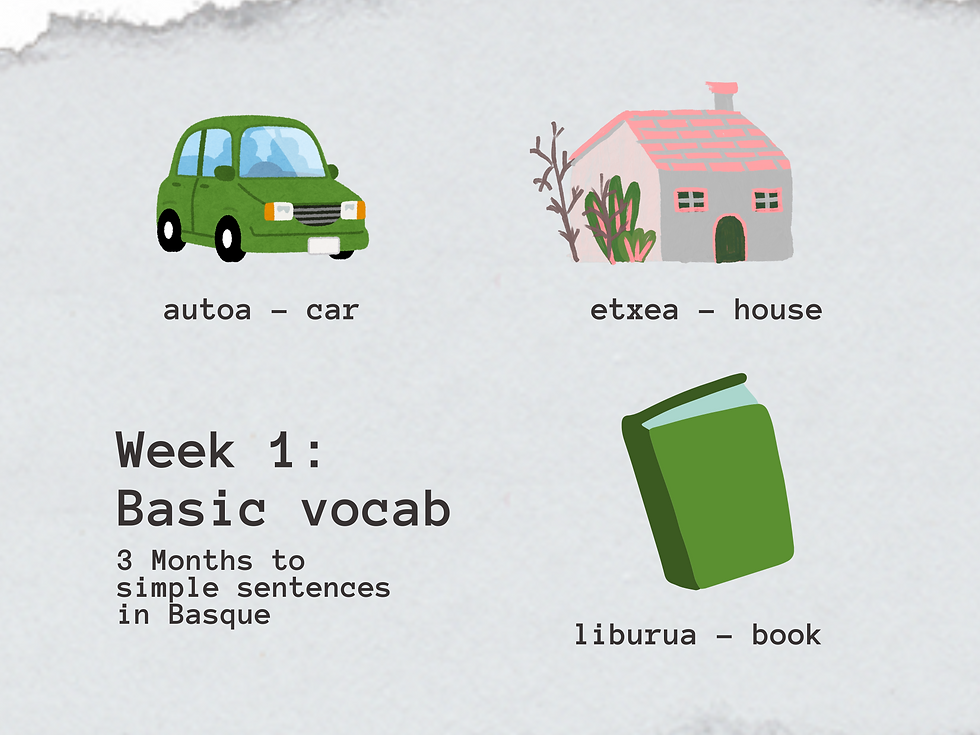 Week 1 : Basic vocab (Three months to simple sentences in Basque)
