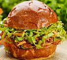 pulled chicken