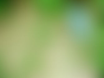 暑さに慣れるのに、1週間はかかります!