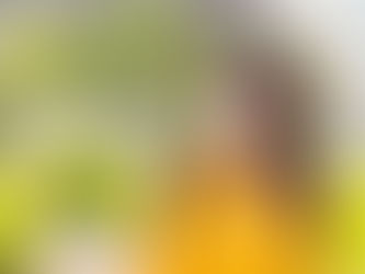 Allergy Season Is Here. Are You Ready? Get Your Allergy Testing!