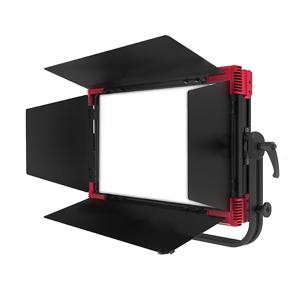 Rayzr MC 400 MAX Multi Color Soft LED