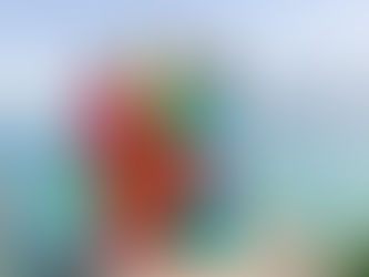 TEODORO SALAZAR – COLEÇÃO RIO DE JANEIRO