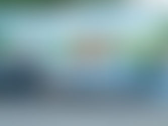 FUNDAÇÃO MARCOPOLO-PROJETO ESCOLAS 2021 – EMEF SENADOR TEOTÔNIO VILELA