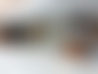 VINÍCOLA AURORA – INAUGURAÇÃO LOJA -VALE DOS VINHEDOS