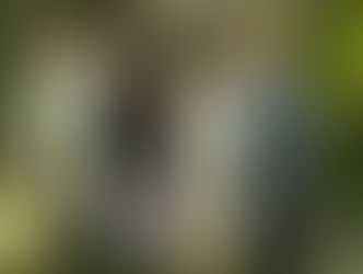 CONSTRUESSE – 35 ANOS – PRIMEIRO EDIFICIO VERDE