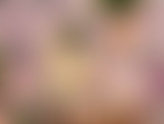 DOCERIA LUKA – DOCES DE PÁSCOA  - DECORADOS 