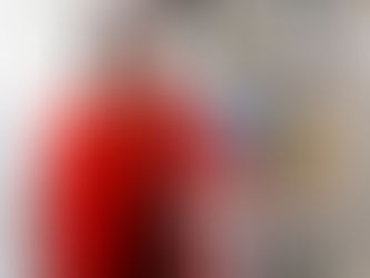 DEBORA DE BONI FIRMA DE ADVOCACIA - 25 ANOS