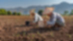 Farmers