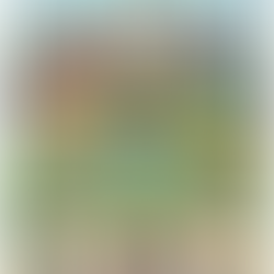 【堅持五年,只為那一節課的公平—嘉義縣國中「科科等值」正式達標!】