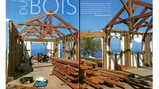 charpente bois maison bois la reunion 974