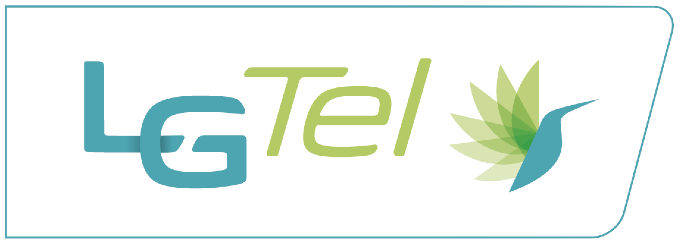 Logo LG Tel Rectangle