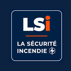 LSI logo_edited