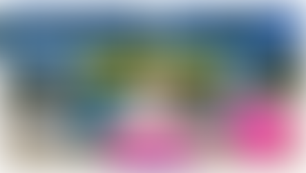 promotion pour vous permettre de securiser et proteger votre piscine sans vous ruiner : pour l’achat d’un volet roulant, nous vous offrons la pose