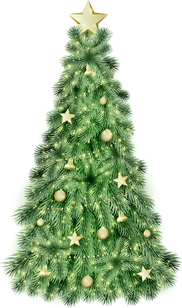 Vector Smart Object (Double Click to Edit) 2.png