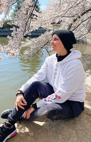 sakura.jpg