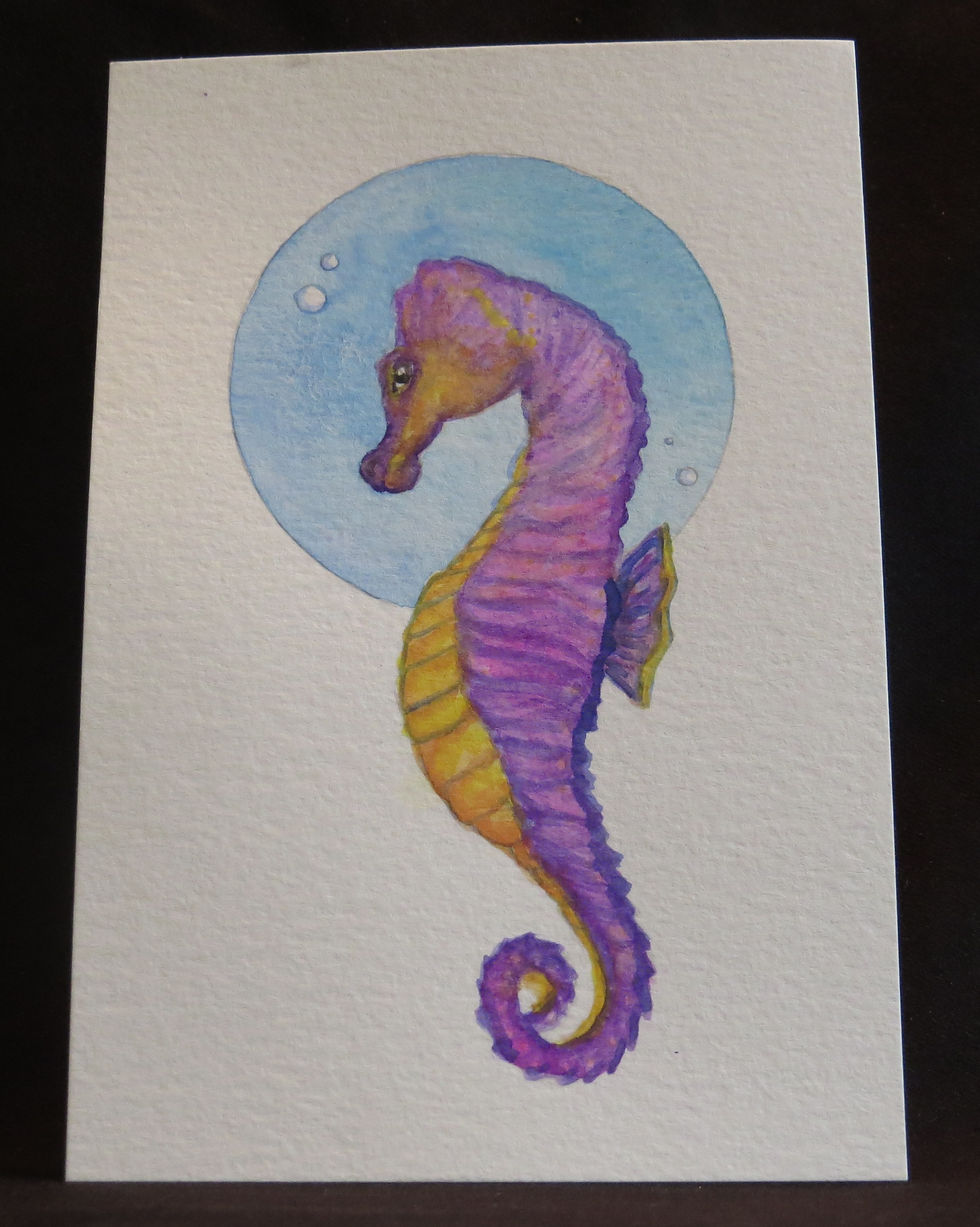 Purple Seahorse Post Card
