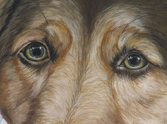 Close Up