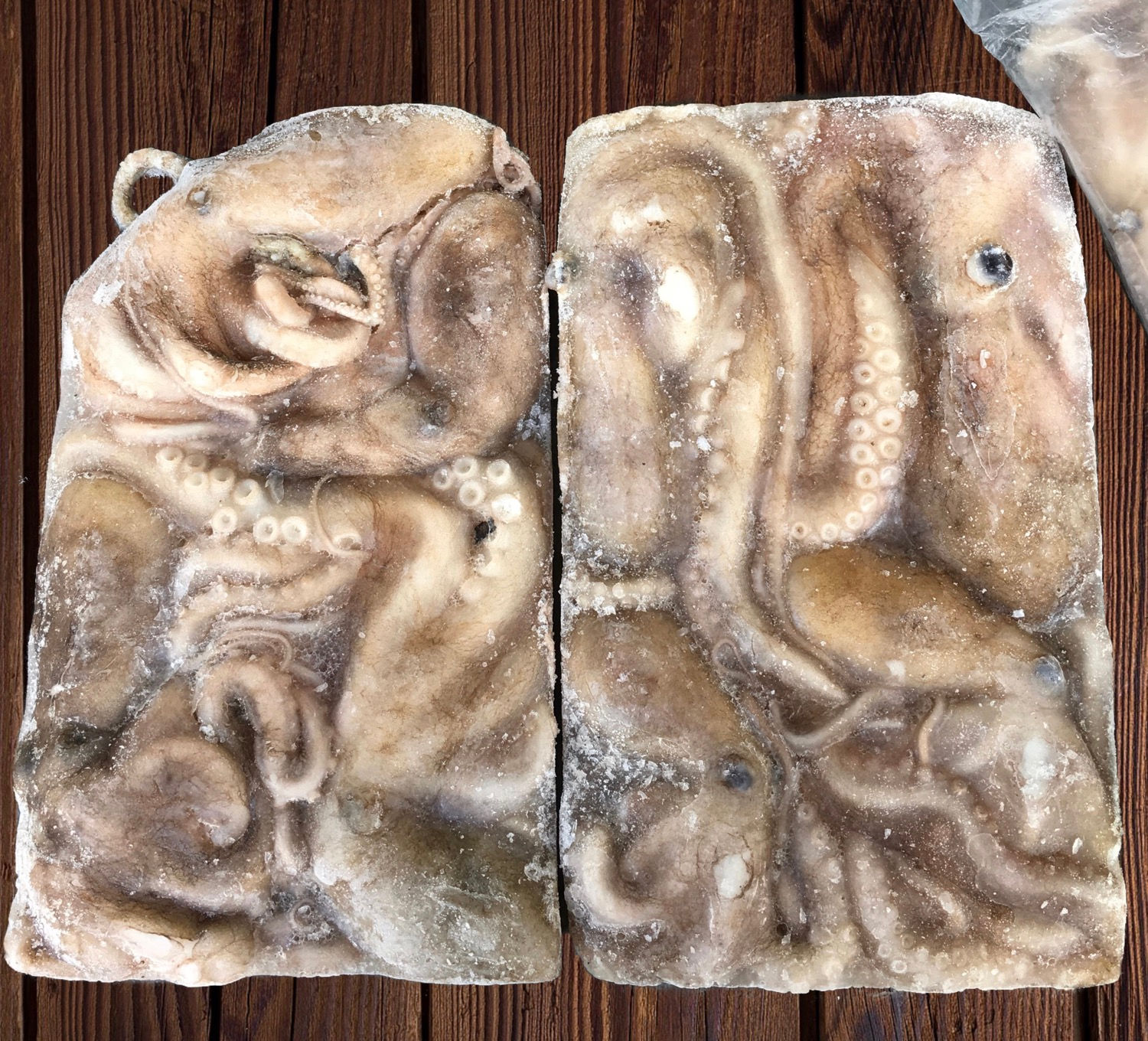 활낙지850g/1블럭 (200/300) 중국