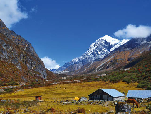 An 8 day trek to Goecha La in Sikkim