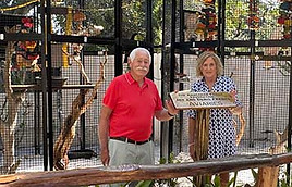 Wonder Gardens_WEB.jpg