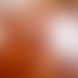 Professional Floor Sanding Done Properly | Correcting Chatter Marks & Poor Finishes