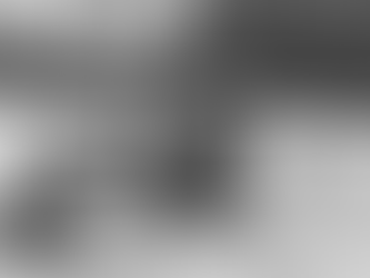 In Memoriam: Marc Bongaers 