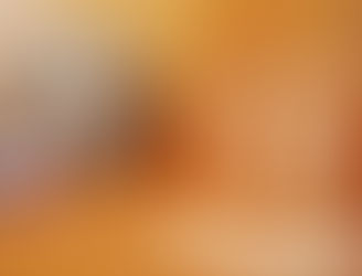 ゆるりがもり2019年