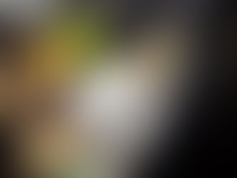 11月のゆるりがもり・ありがとうございました(*^-^*)