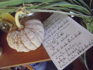 星降る島のフラ　よかった～＼(^o^)／