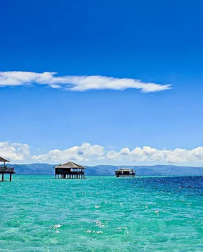 Manjuyod Sand Bar & Chasing w/ Dolphins (Private Tour)