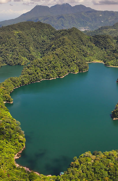 Twin Lake Balinsasayao & Danao (Private Tour)