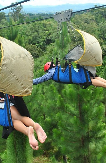 Dahilayan - Asia’s Longest Dual Zipline (Private Tour)