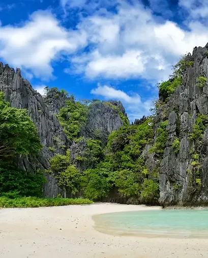 Island Hoping C (Chatered/Private Tour)