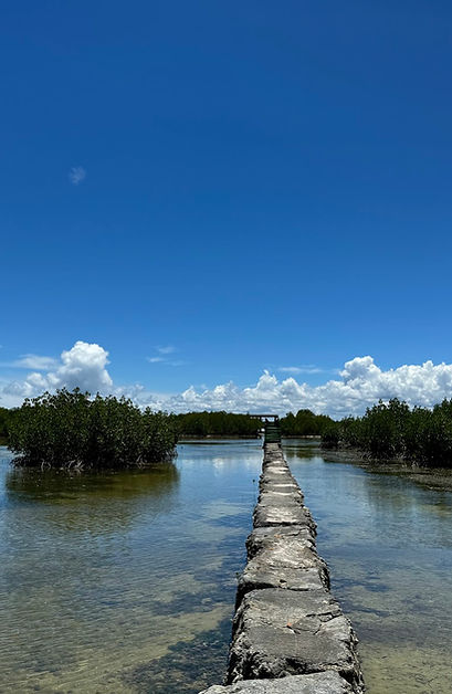 Olongo Full Island Experience - Deep Diveintoe Island Life. Marine & Wildlife Sanctuary (Private Tour)