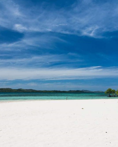 Coron Reef and Wrecks Tour
(Private Tour)