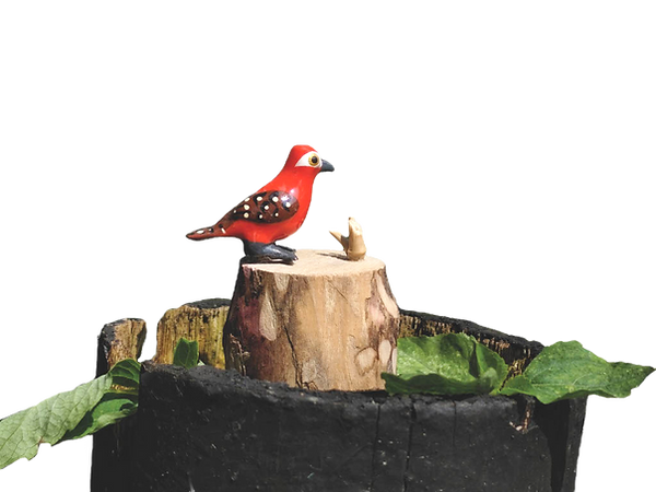 pajaro_edited_edited.png