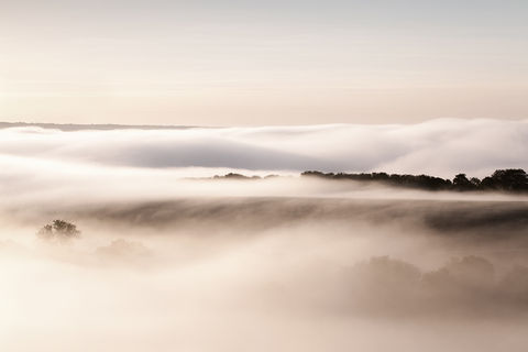 Autumn Mist on the South Downs National Park