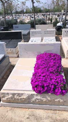פרחים ורודים לצד המצבה.jpeg