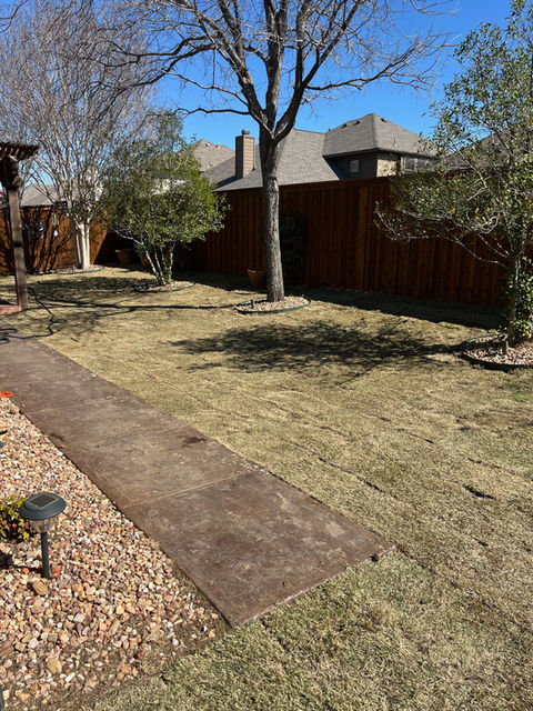 Fresh Sod 
