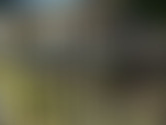 【製作レポート】門扉加工やダンプの加工など多様な製作を進めました｜有限会社エイチエスケイ