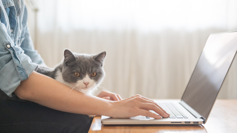 EN TÉLÉTRAVAIL OU MAL INSTALLÉ CHEZ VOUS ?