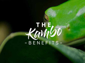 The Benefits of Kambo