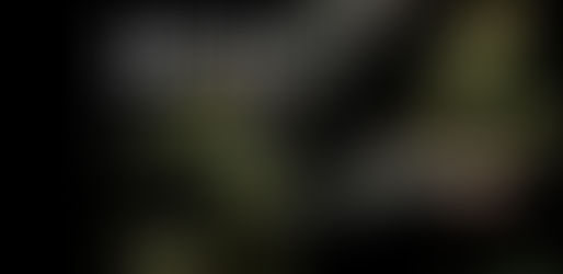 CBD Without THC Does it Work?